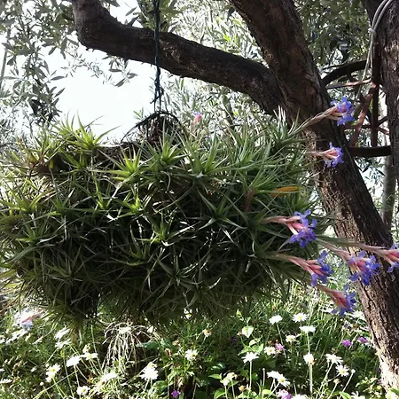 La Rocca Di Perti 菲纳莱利古雷