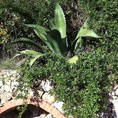 בית חווה La Rocca Di Perti פינאלה ליגורה