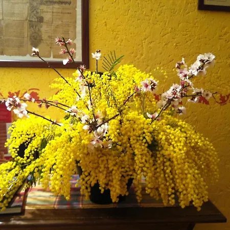 Agriturismo La Rocca Di Perti *
