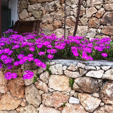 Agriturismo La Rocca Di Perti Фермерский дом