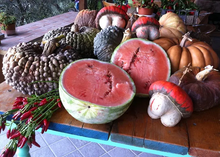 Фермерский дом Agriturismo La Rocca Di Perti Финале Лигуре