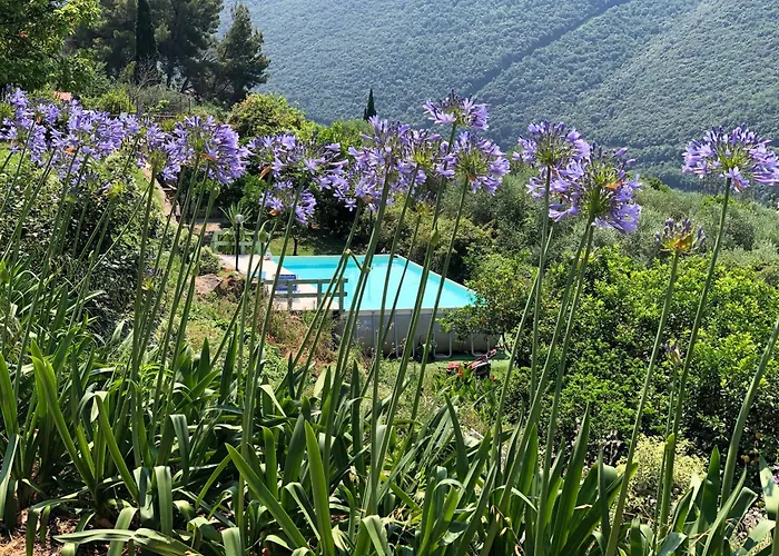 Agriturismo La Rocca Di Perti Фермерский дом