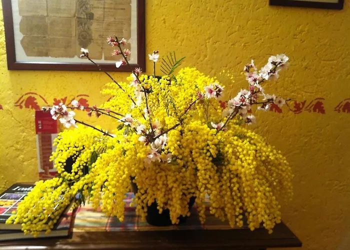 Agriturismo La Rocca Di Perti *