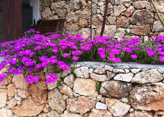 Agriturismo La Rocca Di Perti Фермерский дом
