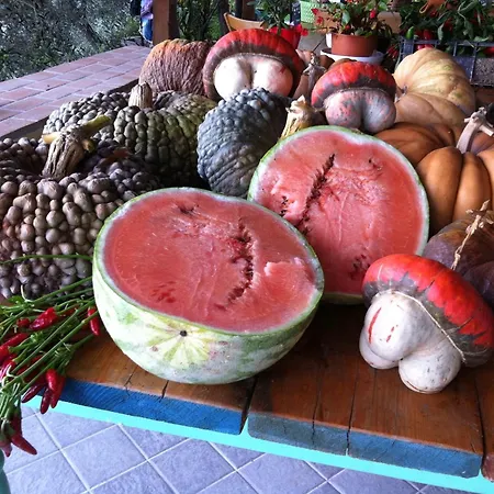 Farma La Rocca Di Perti Finale Ligure