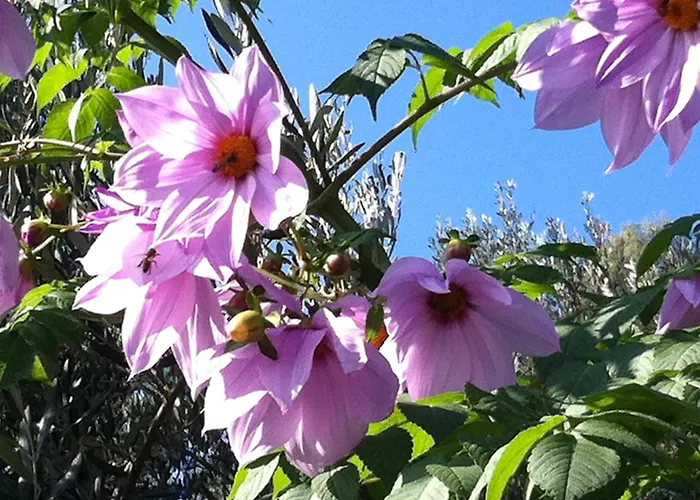 La Rocca Di Perti Finale Ligure
