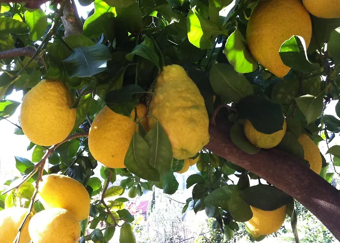 Bauernhof La Rocca Di Perti