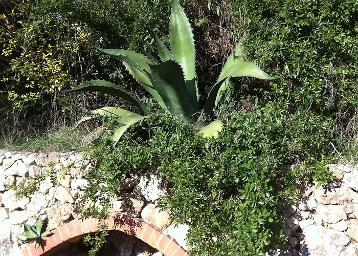 Bauernhof La Rocca Di Perti Finale Ligure